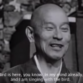 Shunryu Suzuki Roshi über Sound vs. Noise